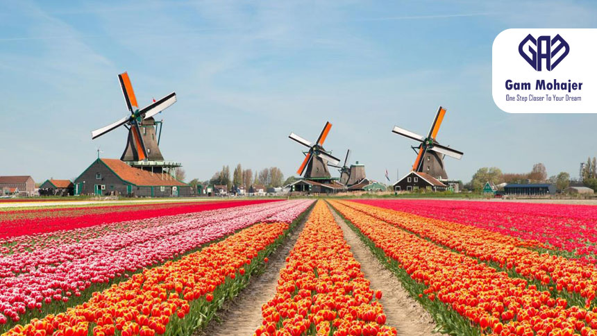 netherland2